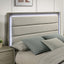 Rainier-5 Pc Queen Bedroom Set (Upholstered HB)