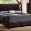 Conner - QUEEN BED