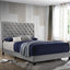 Warner - QUEEN BED