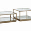 Renee - 2 PC COFFEE TABLE SET