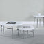 Avilla - 2 PC NESTING COFFEE TABLE