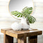Samira - COFFEE TABLE