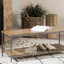 Gerbera - BENCH