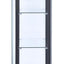 Delphinium - CURIO CABINET