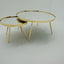 Kaelyn - 2 PC NESTING COFFEE TABLE
