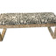 Aiden - BENCH